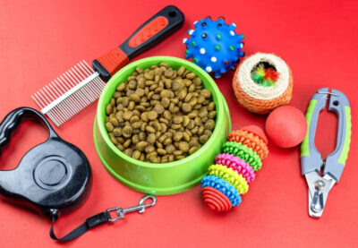 Top 10 Must-Have Pet Products at Pet Supply Plus: A Guide for Pet Owners