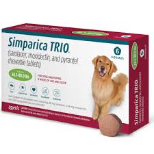 Why Every Pet Owner Should Consider Simparica Trio