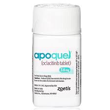 How Apoquel Can Help Your Dog Find Relief from Allergies