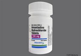 How Amantadine Can Help Manage Pain and Mobility in Pets