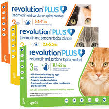 Why Every Cat Owner Should Consider Revolution Plus