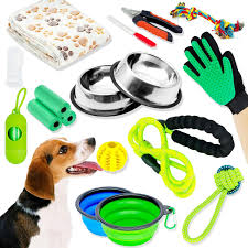 Top Pet Essentials You’ll Find at Pet Supplies Plus