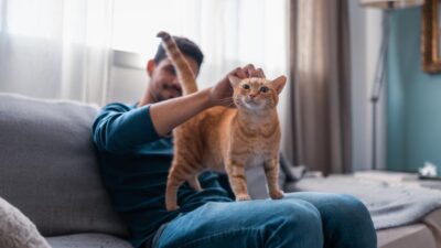 How Long Do Cats Really Live? Surprising Facts About Cat Lifespan