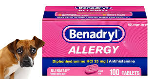 How Much Benadryl Should You Give Your Dog? A Quick Guide