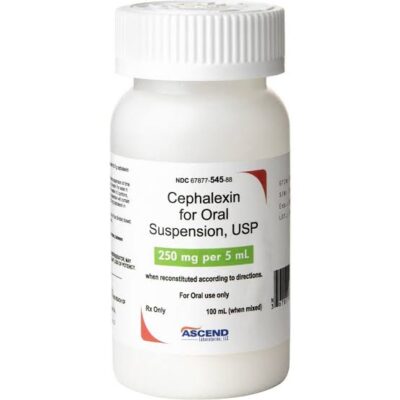 How Cephalexin Can Help Treat Infections in Pets