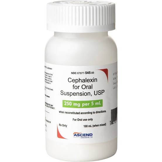 How Cephalexin Can Help Treat Infections in Pets