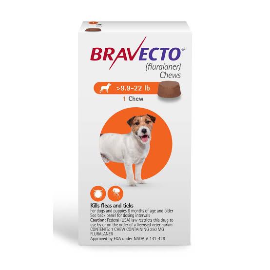 How Bravecto Can Keep Your Pet Safe from Fleas, Ticks, and More