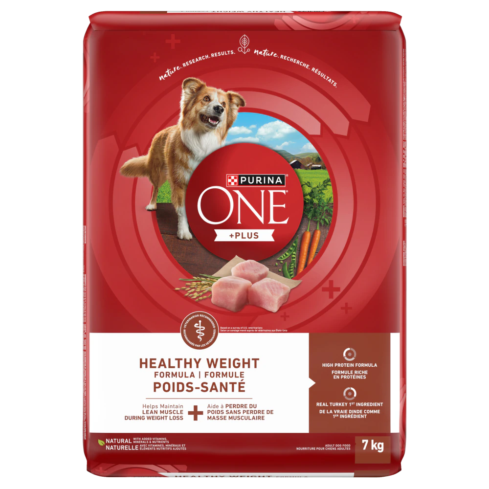 The Benefits of Choosing Purina ONE for Your Dog’s Diet