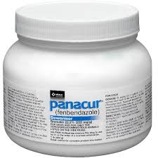 The Benefits of Panacur for Dogs