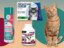 Top Flea Treatments for Cats