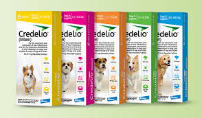 Credelio for Dogs: Safety and Effectiveness