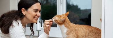 How to Choose the Best Dewormer for Your Cat