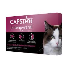 Is Capstar the Best Flea Treatment for Cats?