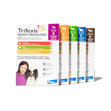 The Benefits of Trifexis for Pets: A Comprehensive Guide