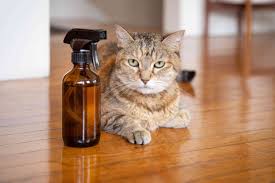 Flea Medicine for Cats: Natural vs. Chemical Treatments