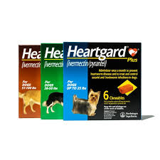 The Importance of Heartgard for Pet Wellness: A Comprehensive Guide