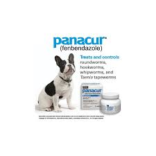 Is Panacur Safe for Your Dog?