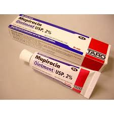 Mupirocin Ointment: A Detailed Overview