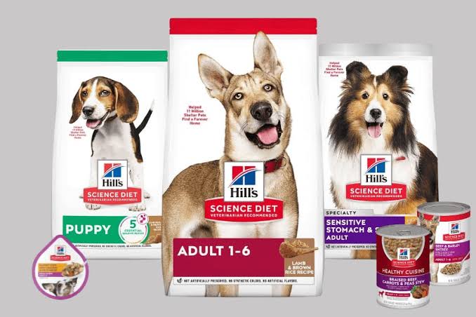 Why Hill’s Dog Food is the Vet-Recommended Choice