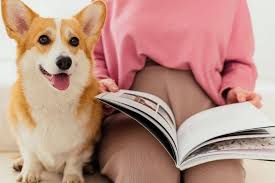 10 Pet Behavioral Books That Are Worth a Read