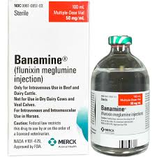 Is Banamine Safe for Your Pets?