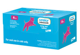 Is Onsior the Best Pain Medication for Your Cat?