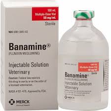 The Role of Banamine in Treating Pet Injuries and Inflammation