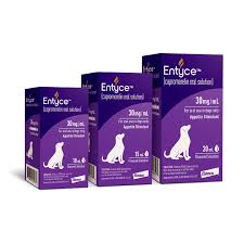 The Benefits of Entyce for Your Pets