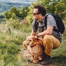 10 Key Tips to Ensure a Safe and Fun Hiking Adventure with Your Dog