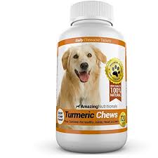 Essential Supplements for Your Pet’s Long-Lasting Health