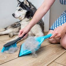 Top 5 Expert Tips to Keep Your Home Pet Hair-Free