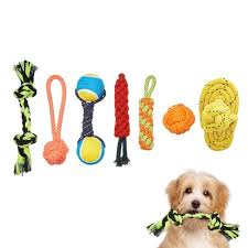 5 Fun Pet Toys That Keep Your Furry Friend Entertained While You’re Away