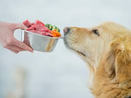 The Positive Impact of a Raw Diet on Dogs