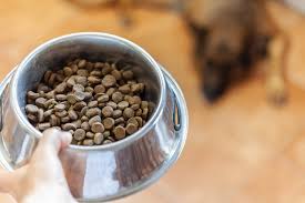 Top Best Dry Food for Dogs