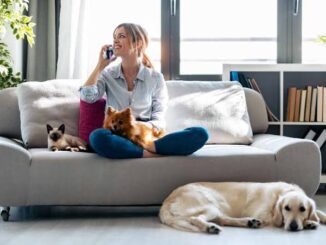 How to Make Your House More Pet Friendly