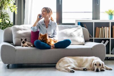 How to Make Your House More Pet Friendly