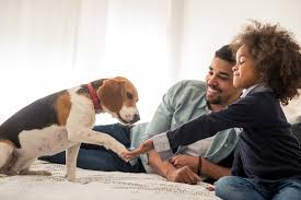 Socializing Your Dog: Tips for Meeting New People and Dogs