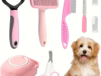 5 Best Brushes for Dogs