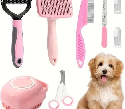 5 Best Brushes for Dogs