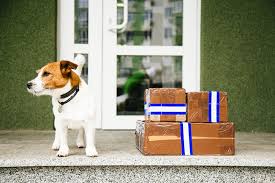 5 Pet Subscription Services We Love