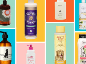 10 Best Pet Shampoos