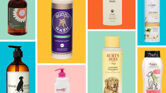 10 Best Pet Shampoos