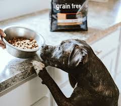 The Best Dog Foods for Grain-Free Diets The Best Dog Foods for Grain-Free Diets