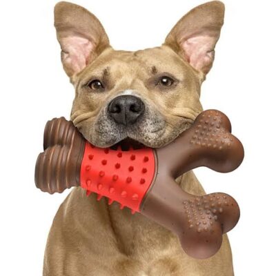 The Best Dog Toys for Heavy Chewers in 2025