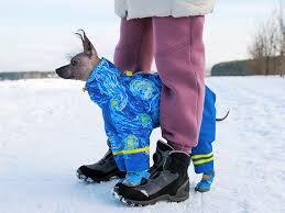 The Best Dog Boots for Winter Weather