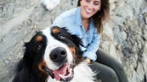 10 Ways to Bond with Your Dog