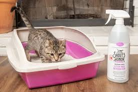 5 Ways to Keep Your Cat’s Litter Box Odor-Free 5 Ways to Keep Your Cat’s Litter Box Odor-Free
