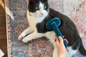 The Best Cat Grooming Brushes The Best Cat Grooming Brushes