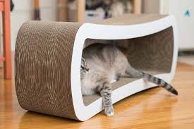 The Best Cat Beds for Older Cats