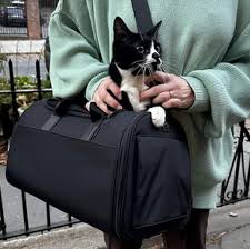 The Best Cat Carriers for Long Trips
